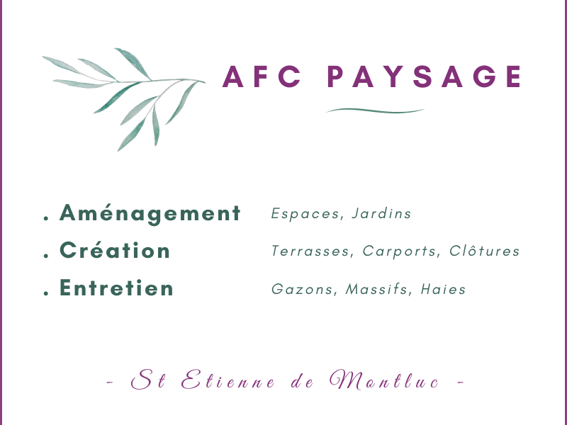 CV pour BM